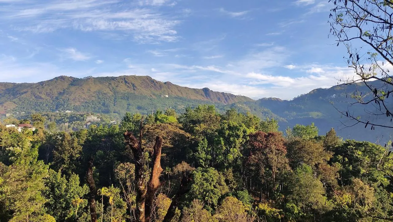 Green Tea View Munnar India